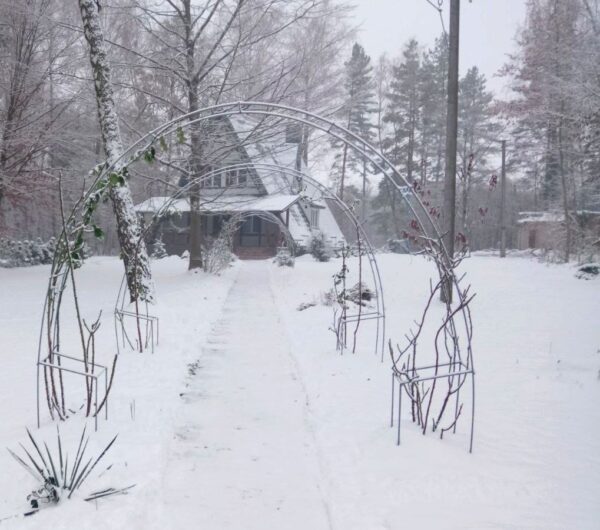 photo_2023-12-01_10-26-51